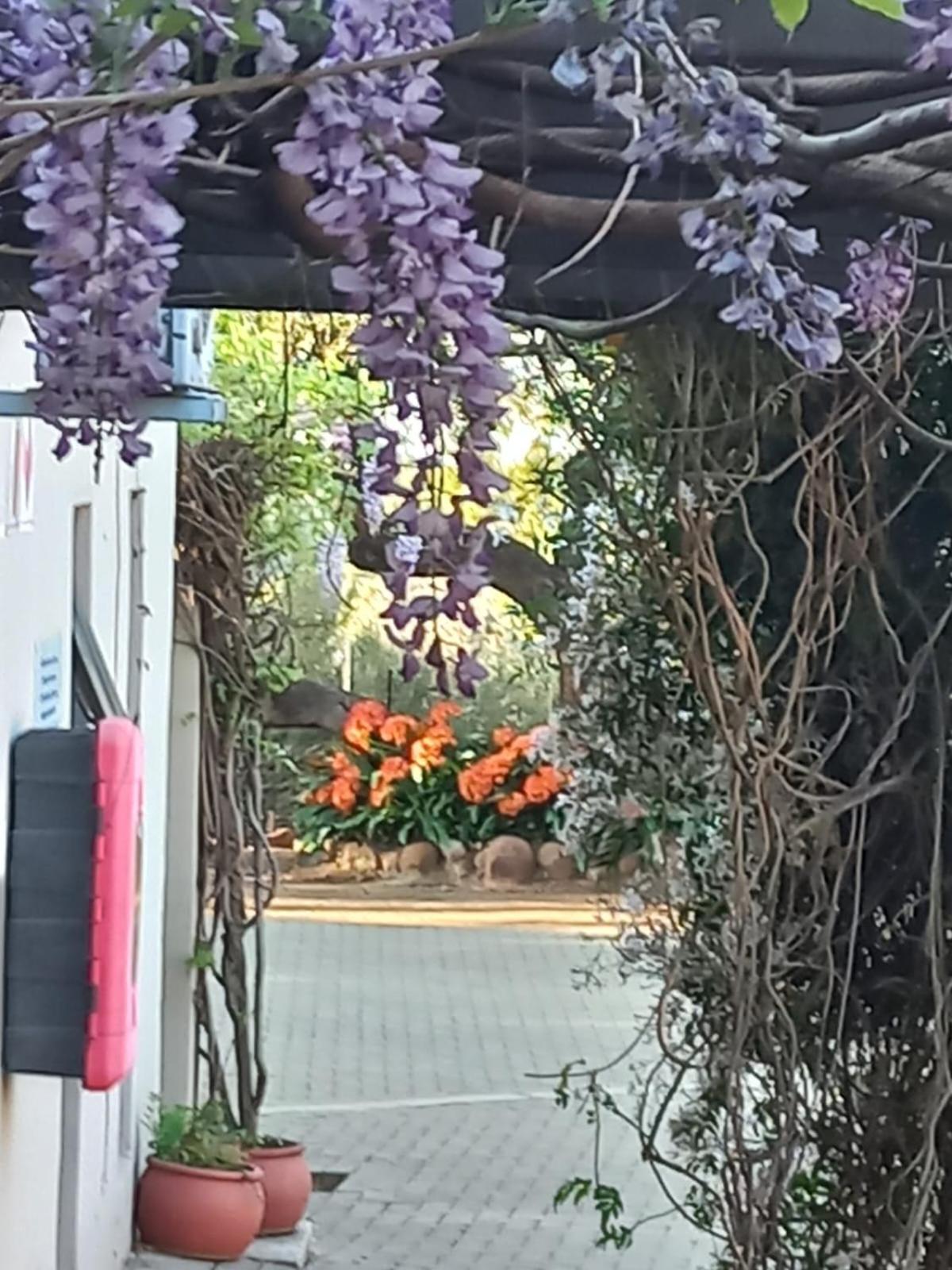A Little Guesthouse บลูมฟอนเทน ภายนอก รูปภาพ